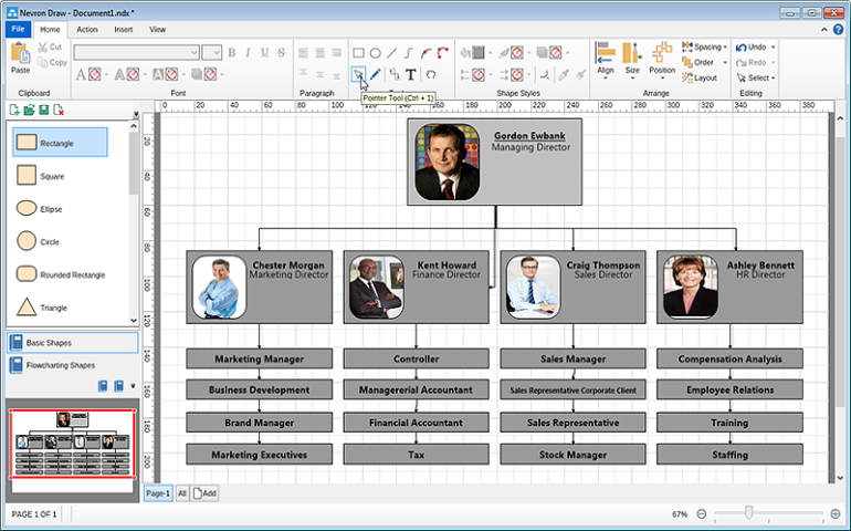 Organizational chart final result before layout